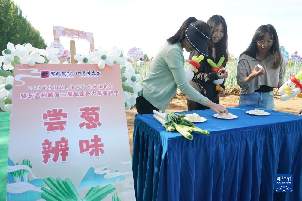 糖果派对掉4个棒棒糖